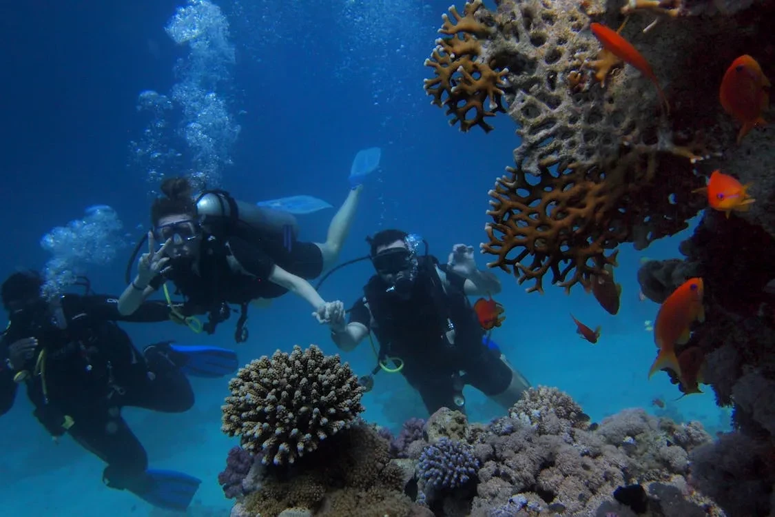 5-Day Sharm El Sheikh Adventure