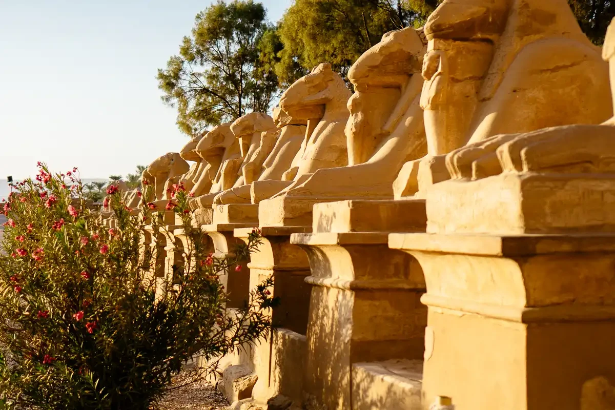 9-Day Signature Egypt: Ultimate Luxury — Nubia, Abu Simbel & the Nile