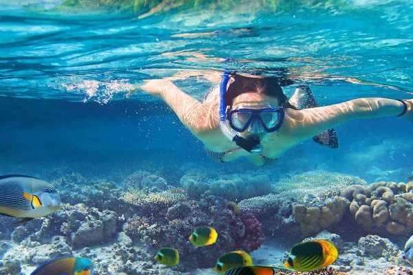 Red Sea Packages