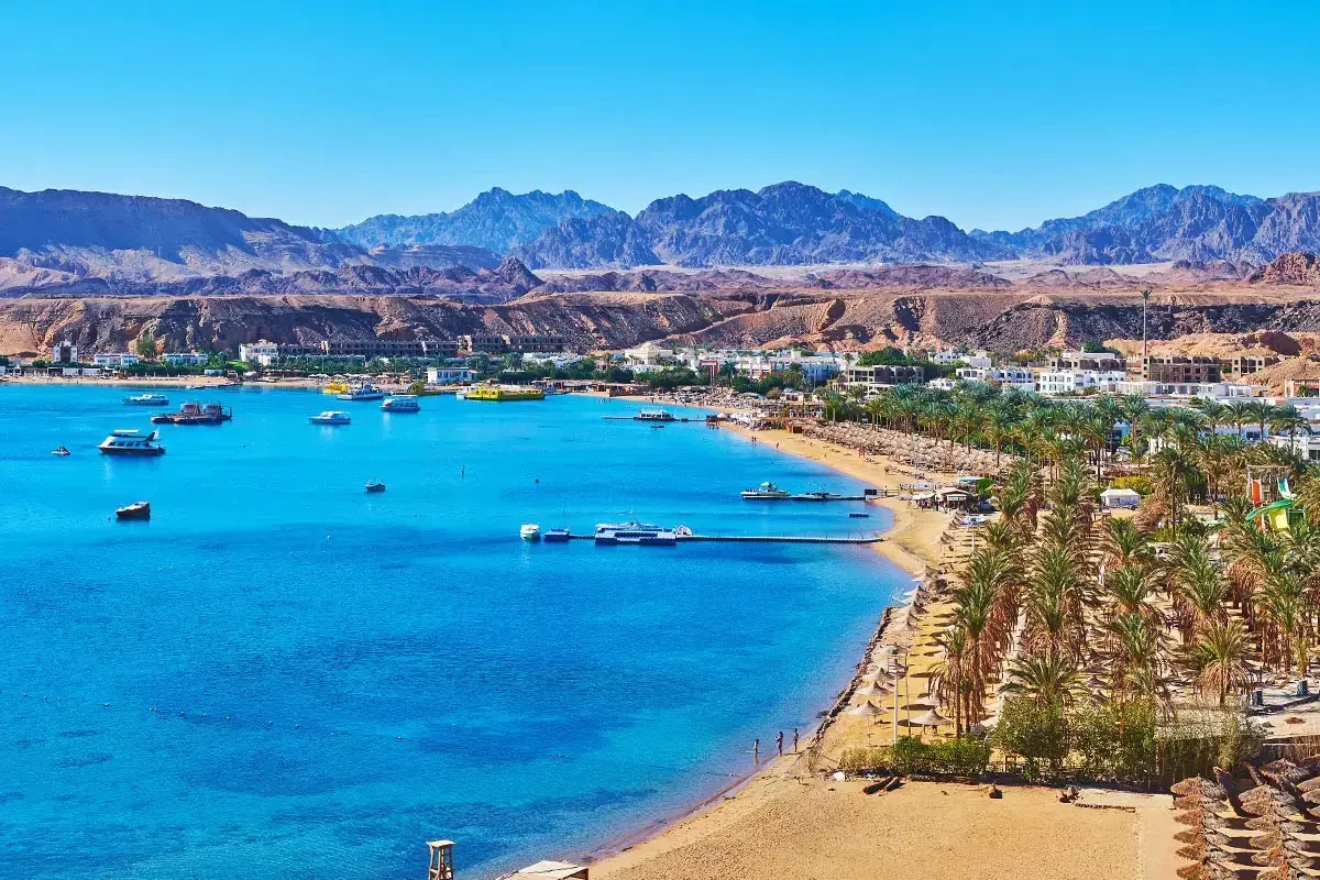 8-Day Egypt Signature Journey: Cairo, Sinai & Sharm