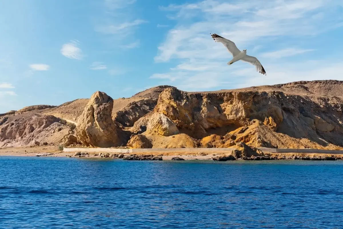 7-Day Cairo, Sharm El-Sheikh & Mount Sinai: Ancient Wonders to Red Sea Splendor